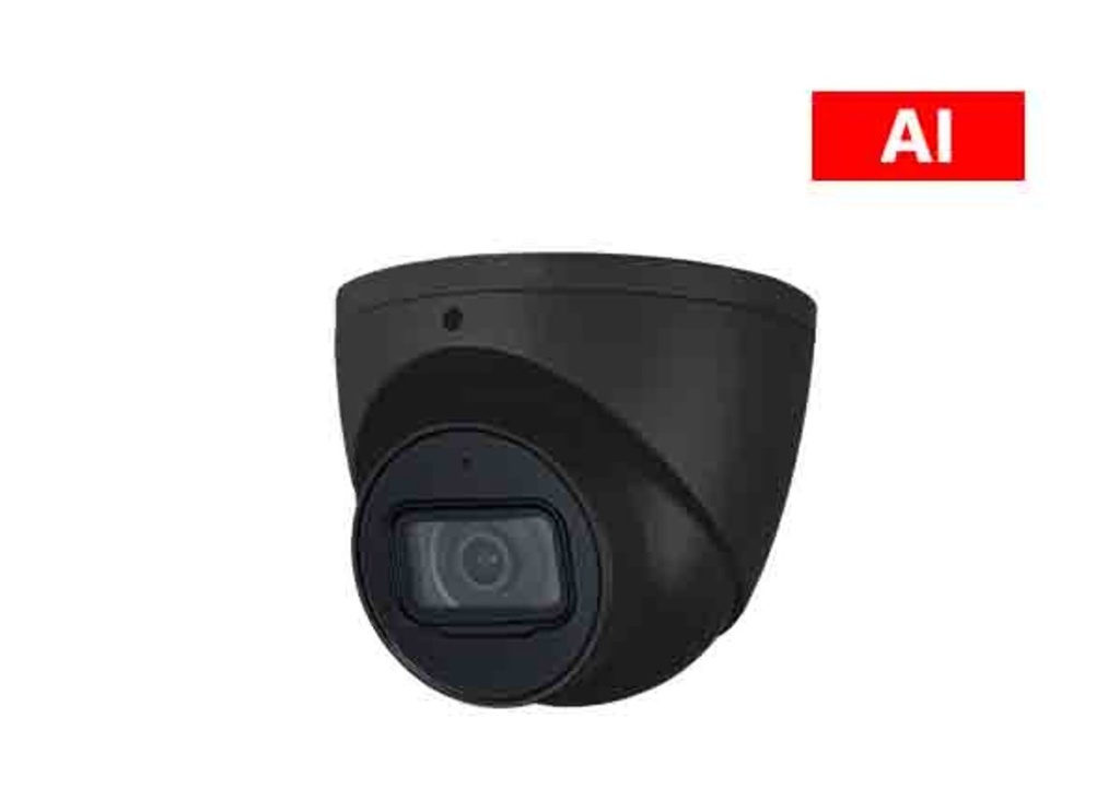 4MP Smart Dual Illumination Fixed-Focal Eyeball Network Camera